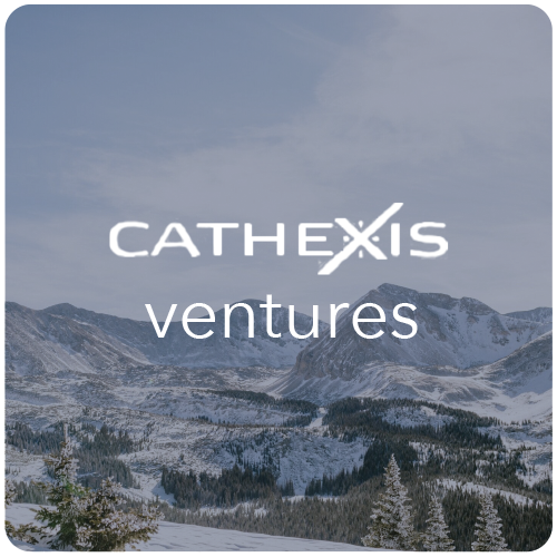 Cathexis Holdings LP