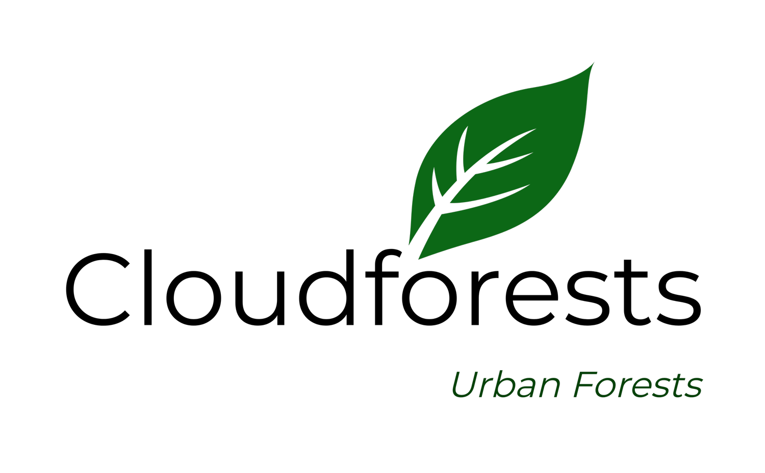 Cloudforests Urban Forests &amp; Events