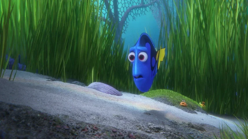 Colin Levy - Director, Writer