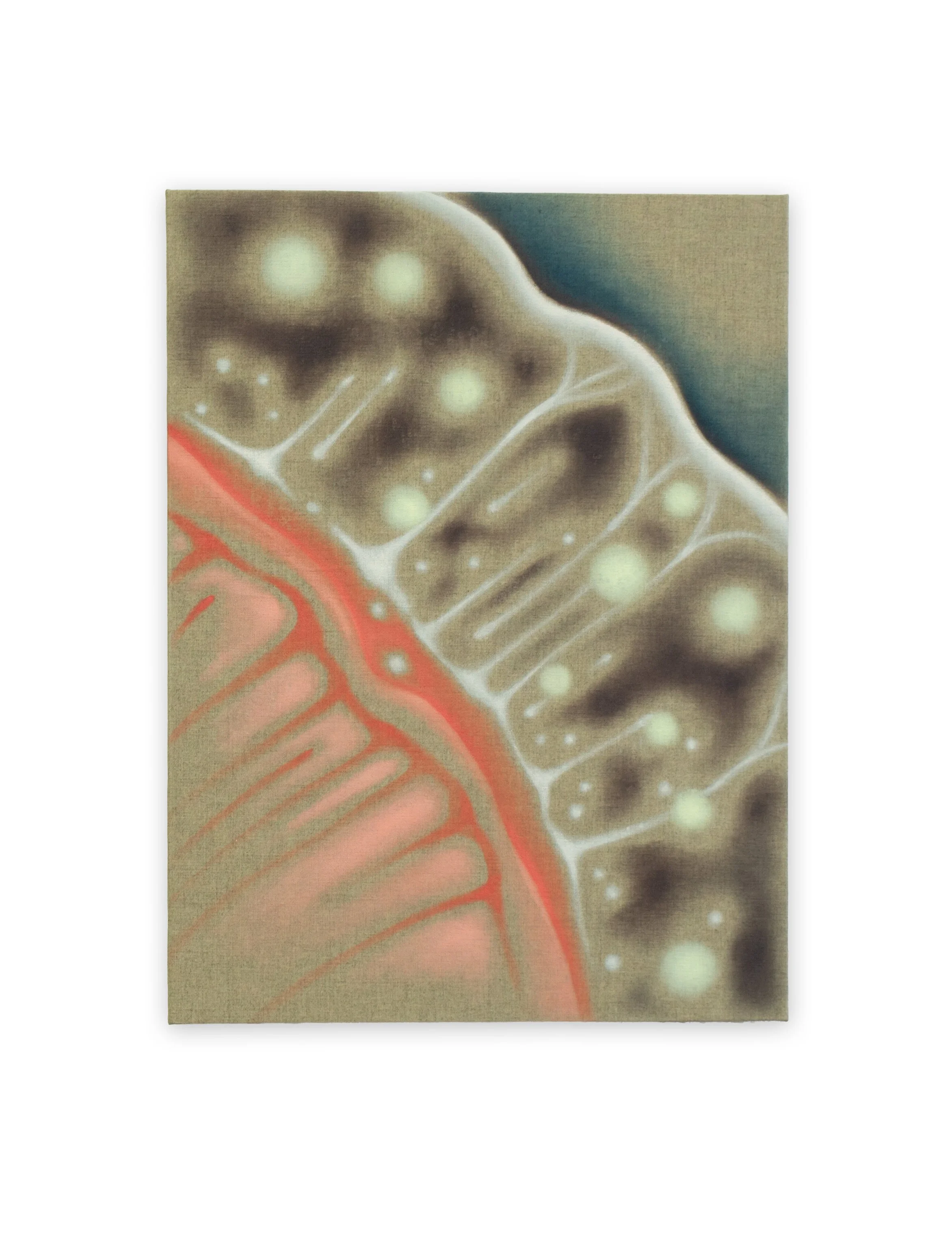 Sensor, 2025, Oil on linen mounted on wooden panel, 14 x 18 inches