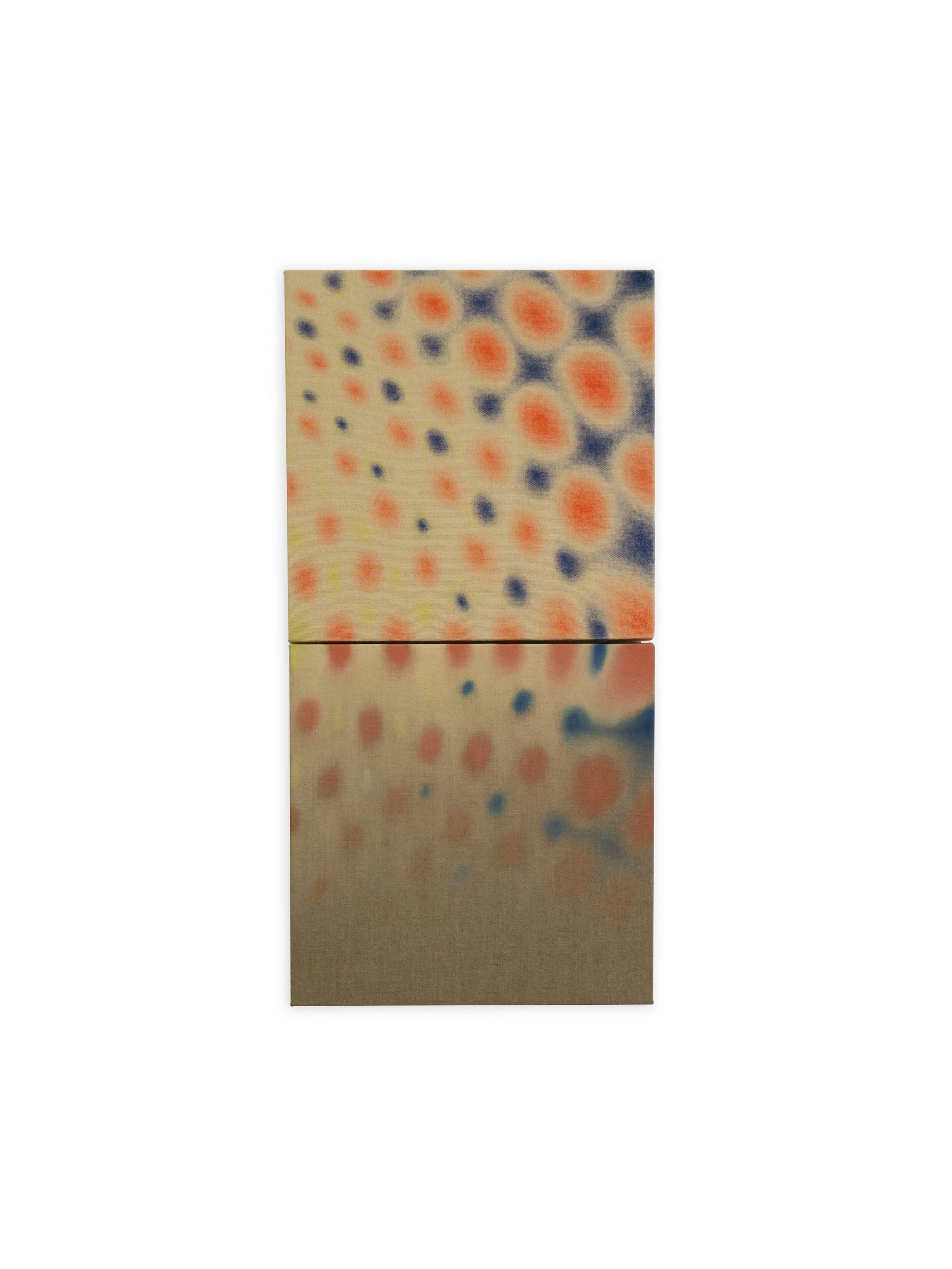 Interference, 2025, Colour pencil on canvas mounted on panel and oil on linen mounted on panel, 14 x 28 inches