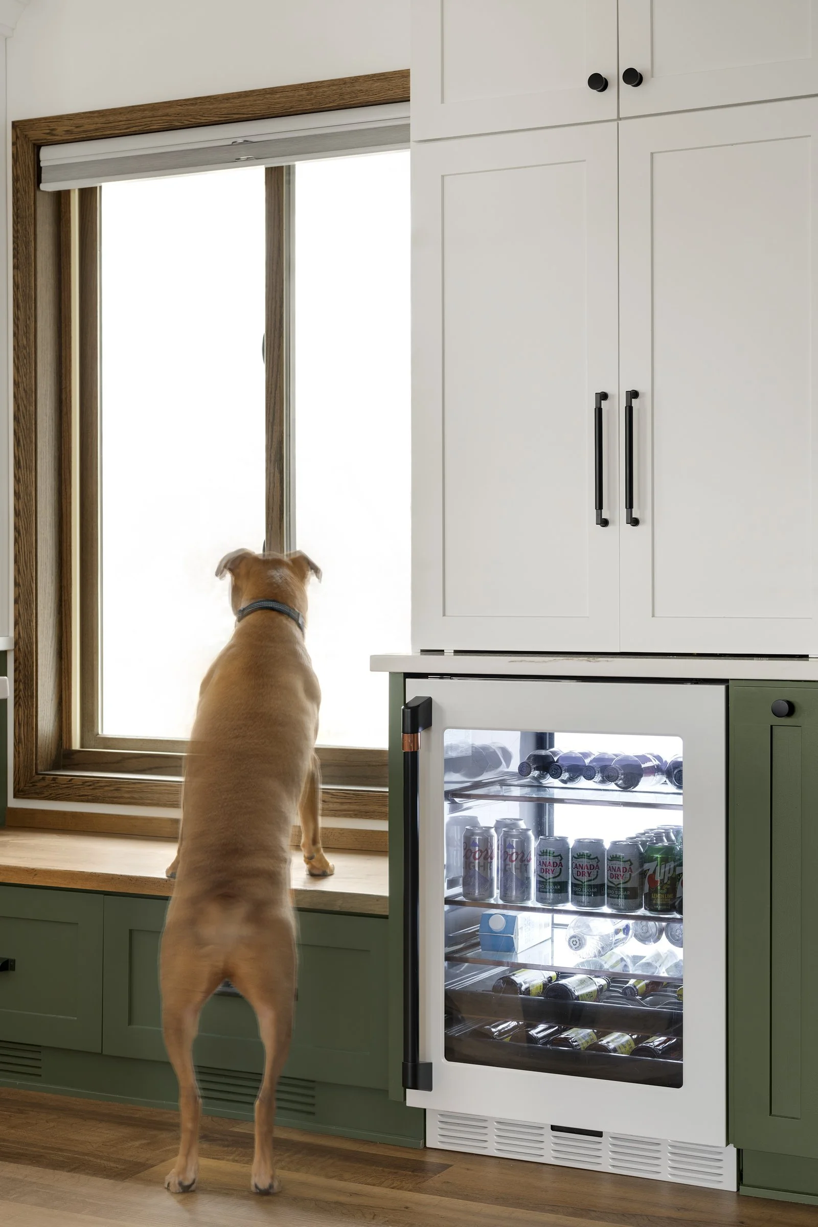 Jessica Hein Interiors - Goodview Trail_020.jpg