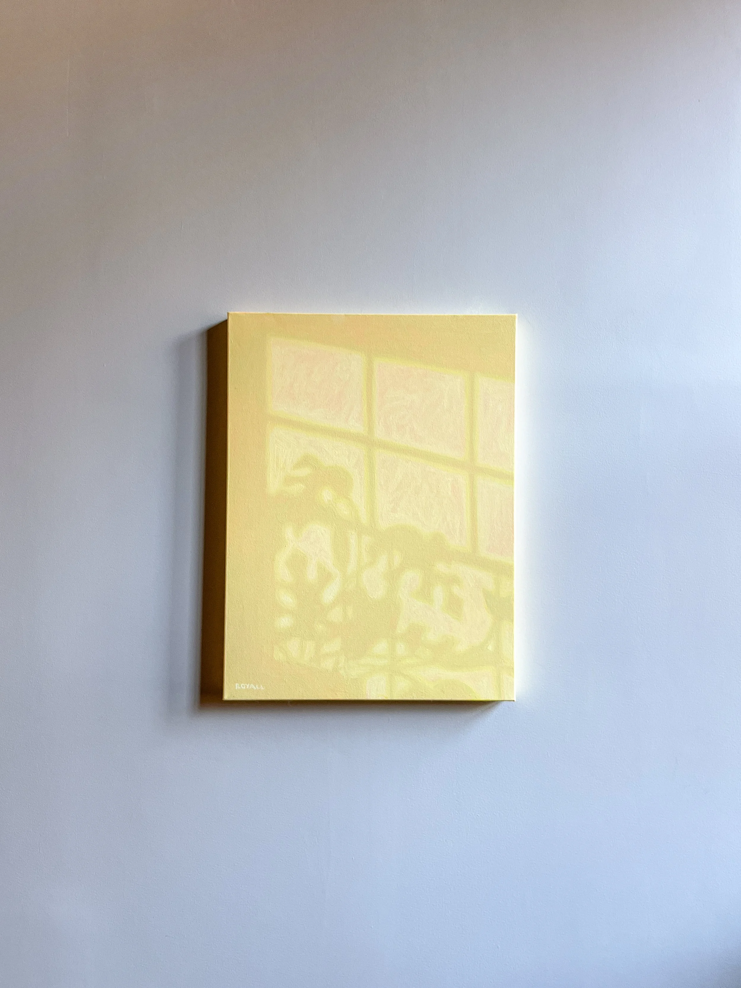 Window Light, Holiday Drop