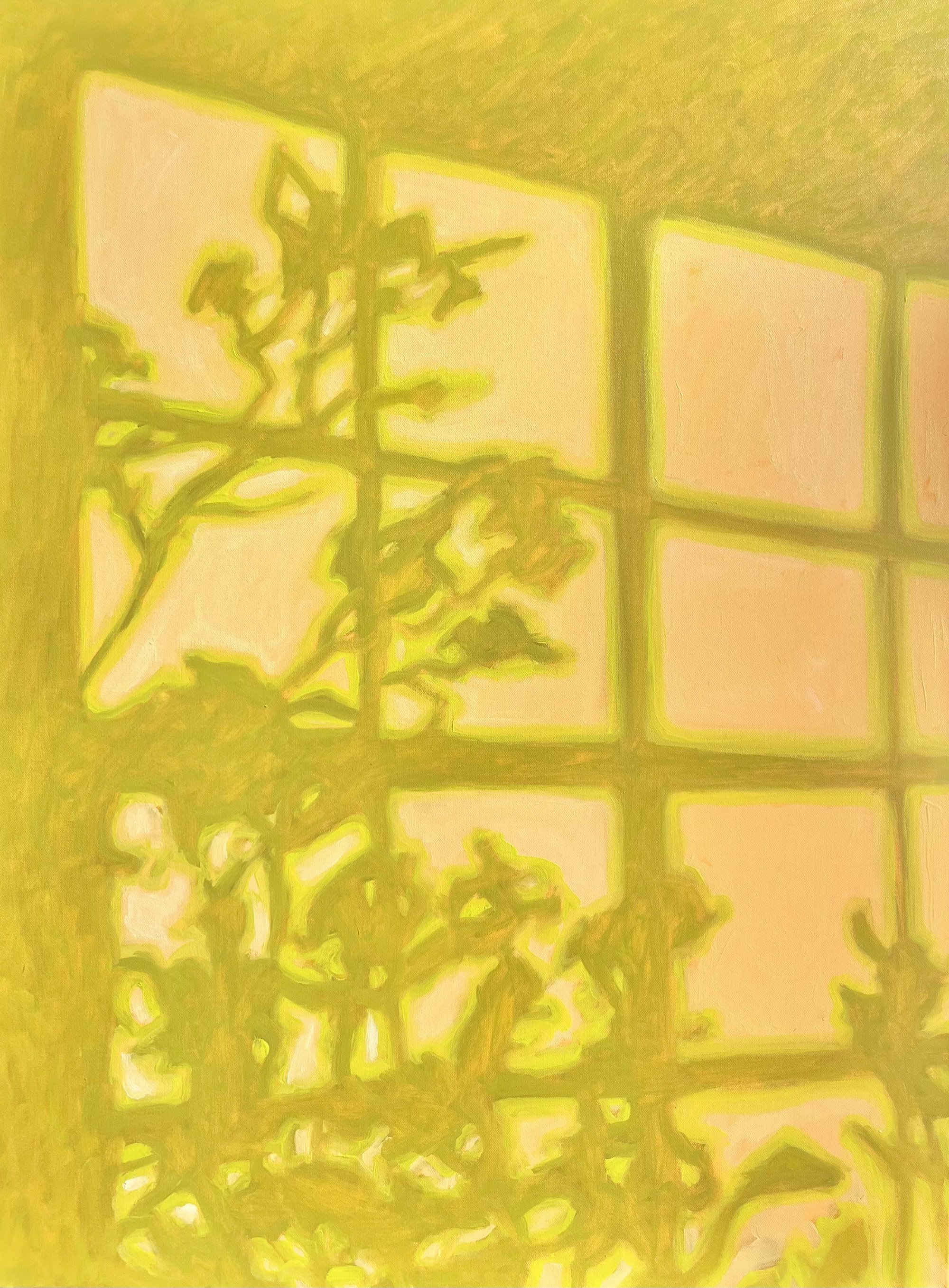 backyard light copy.jpg