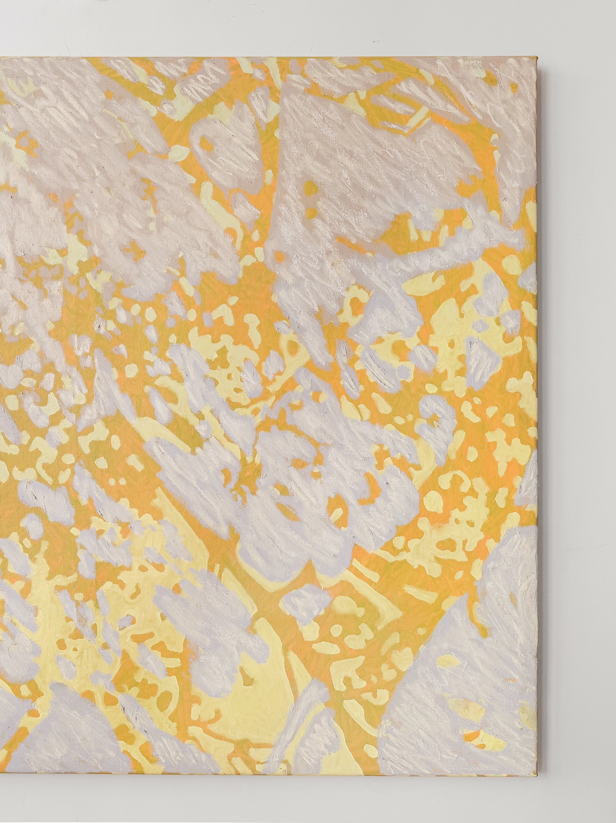 IMG_4801 3.36.55 PM.jpg