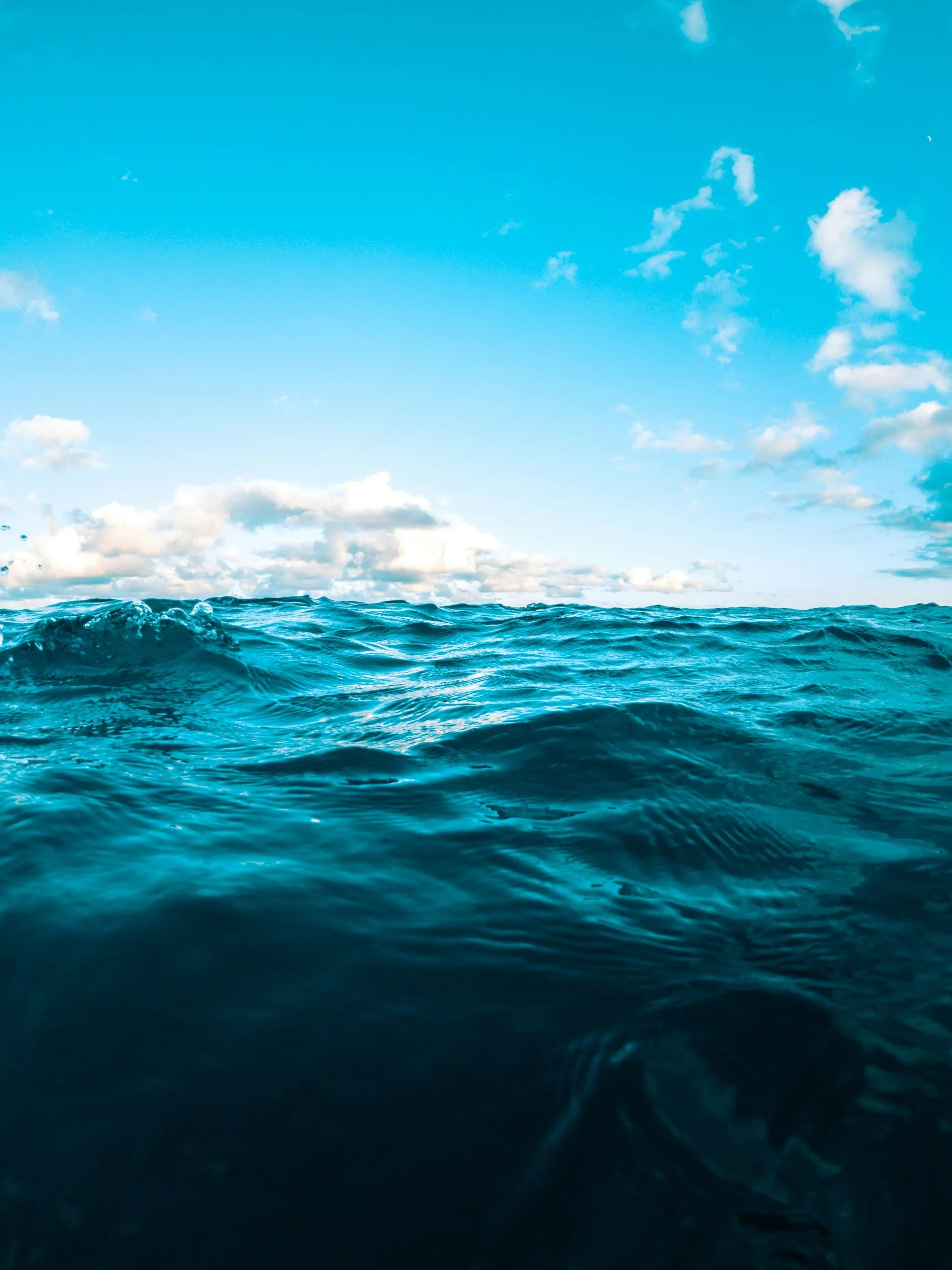ocean picture