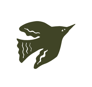 About — the fern & fable