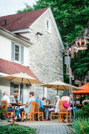 About — the fern & fable