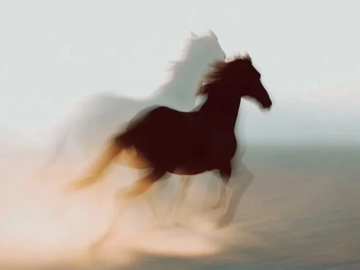 11 otázok na začiatok roka