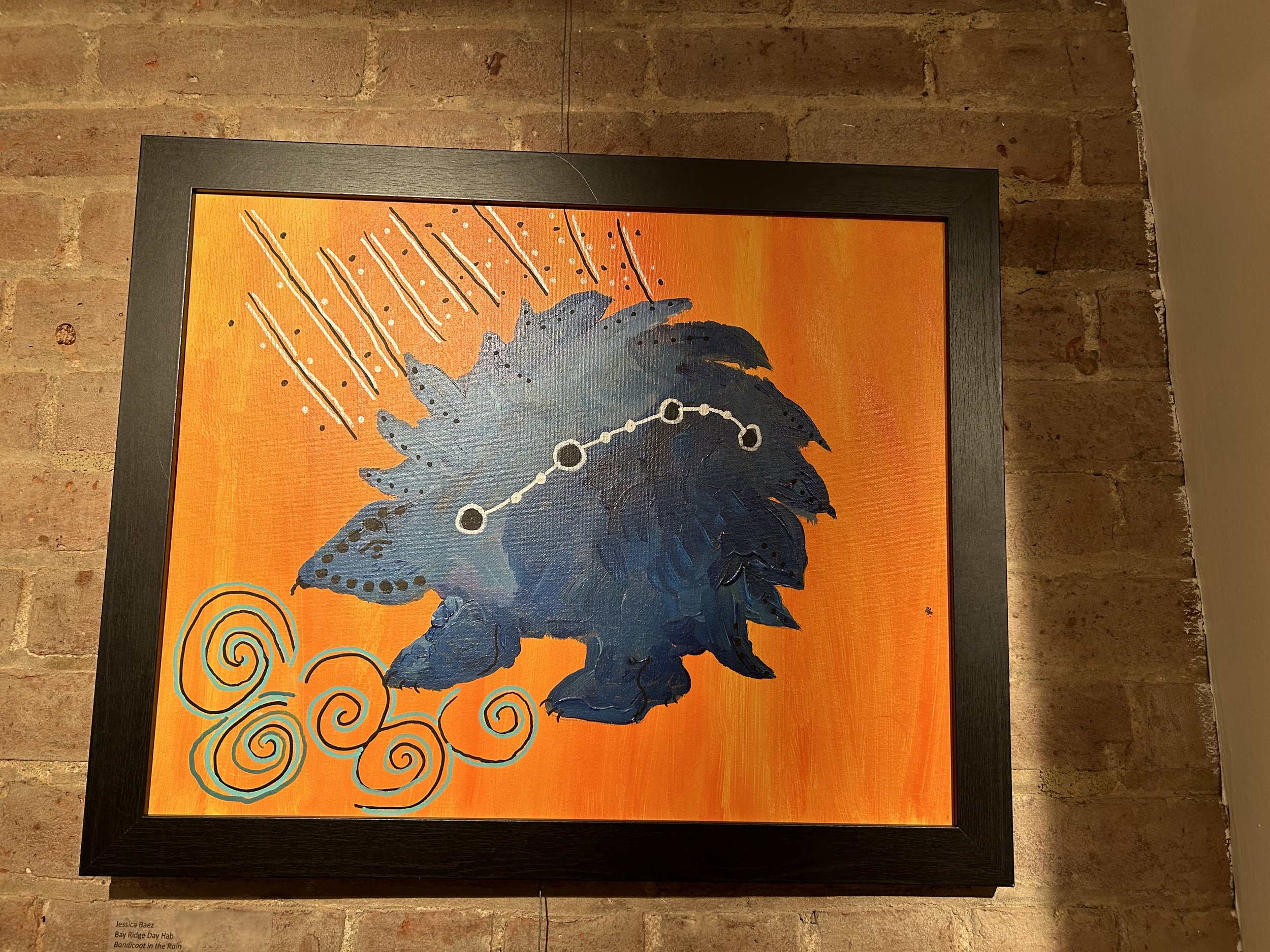 Bandicoot In The Rain