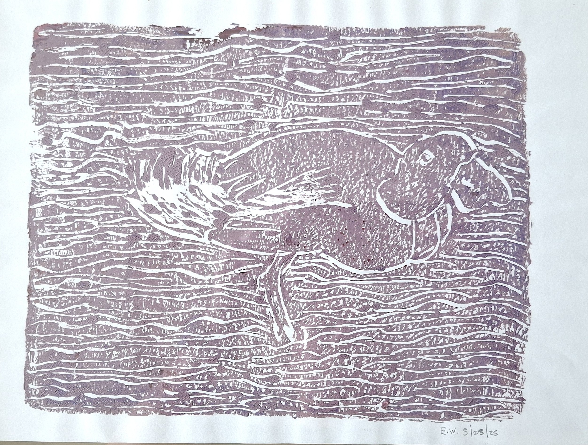 Duck 1