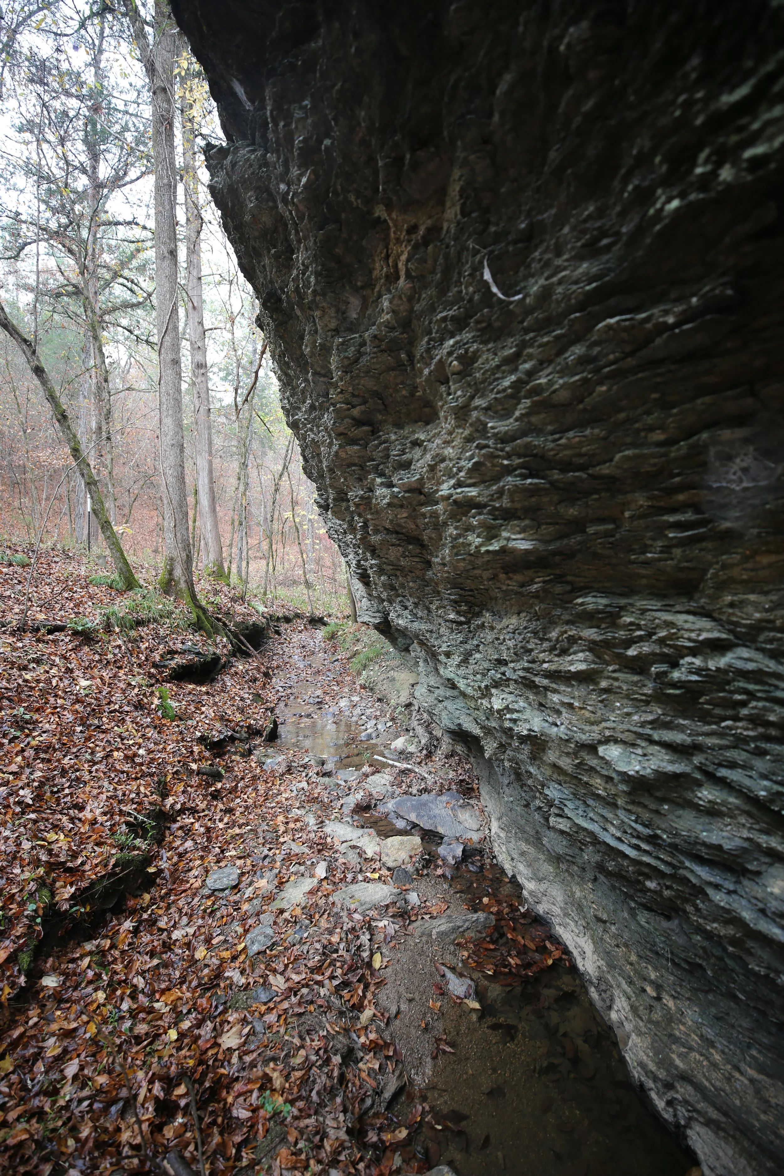  A close-up image of the natural rocky landscape of Talladega National Forest 