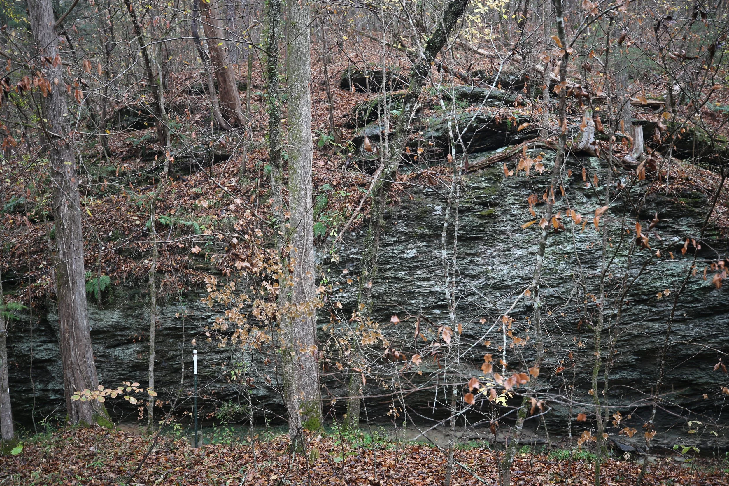  A rocky ledge in the Talladega National Forest appears on a hike 