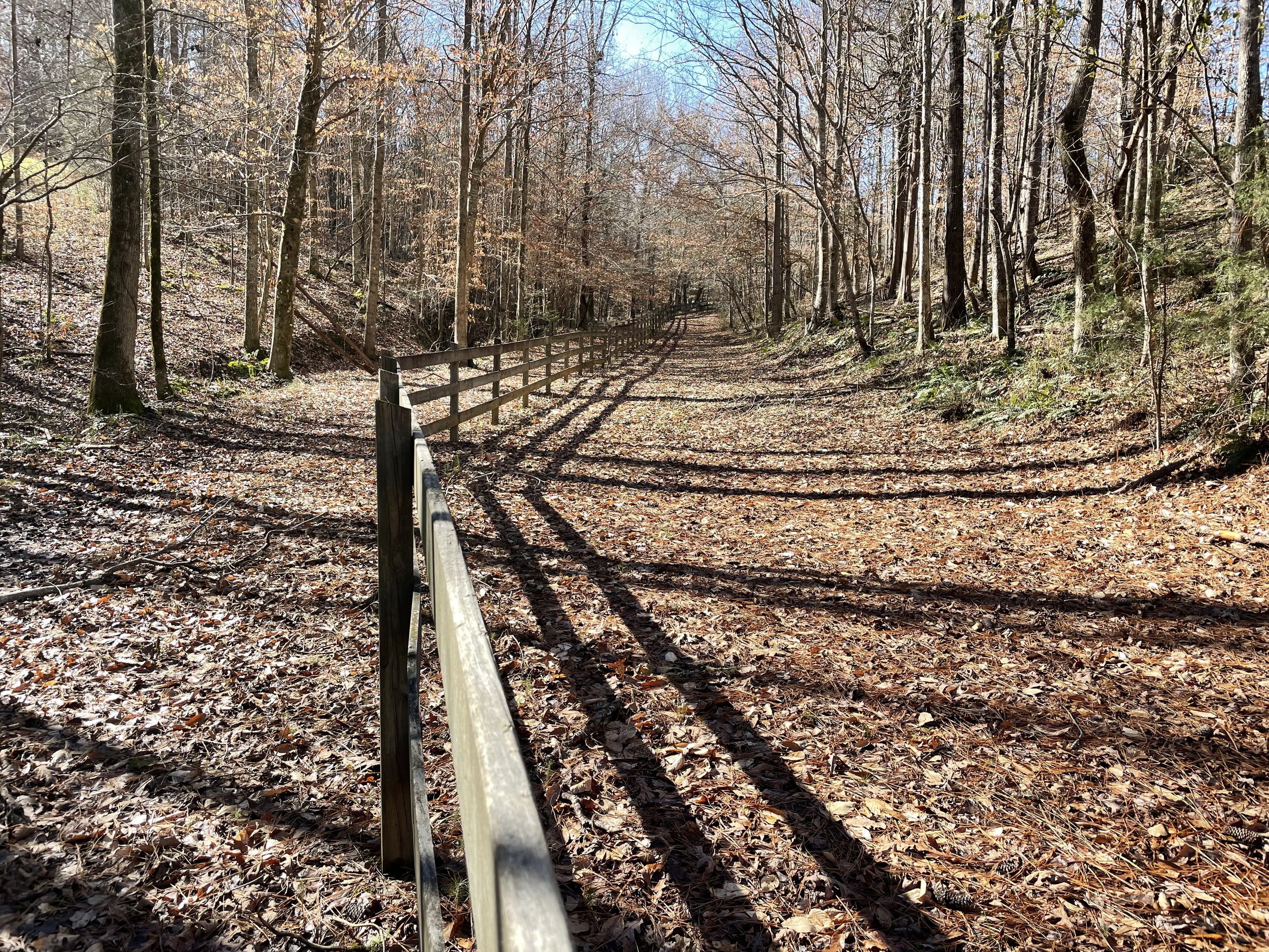 Miles of trails are available to hikers of all ages and levels