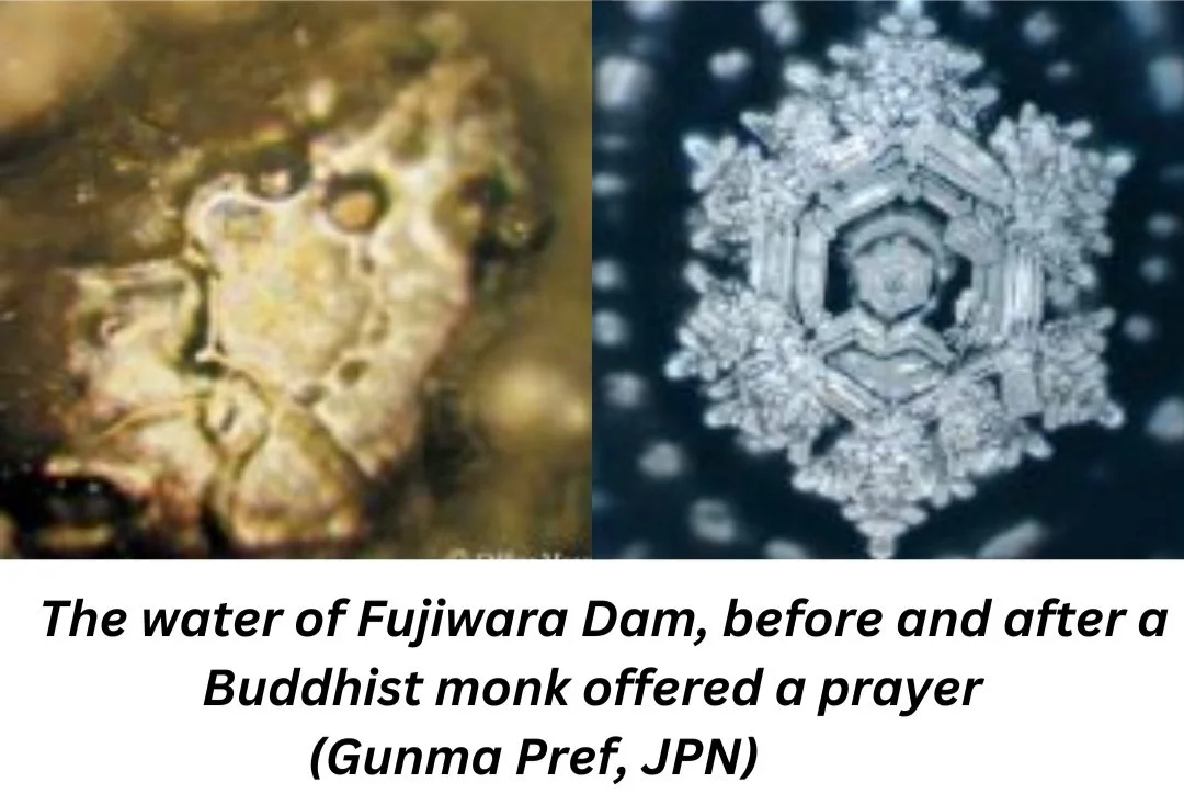 Doświadczenie Z Ryżem Masaru Emoto Dr. Masaru Emoto: How Emotion Influences Water — Born as the Earth Soto