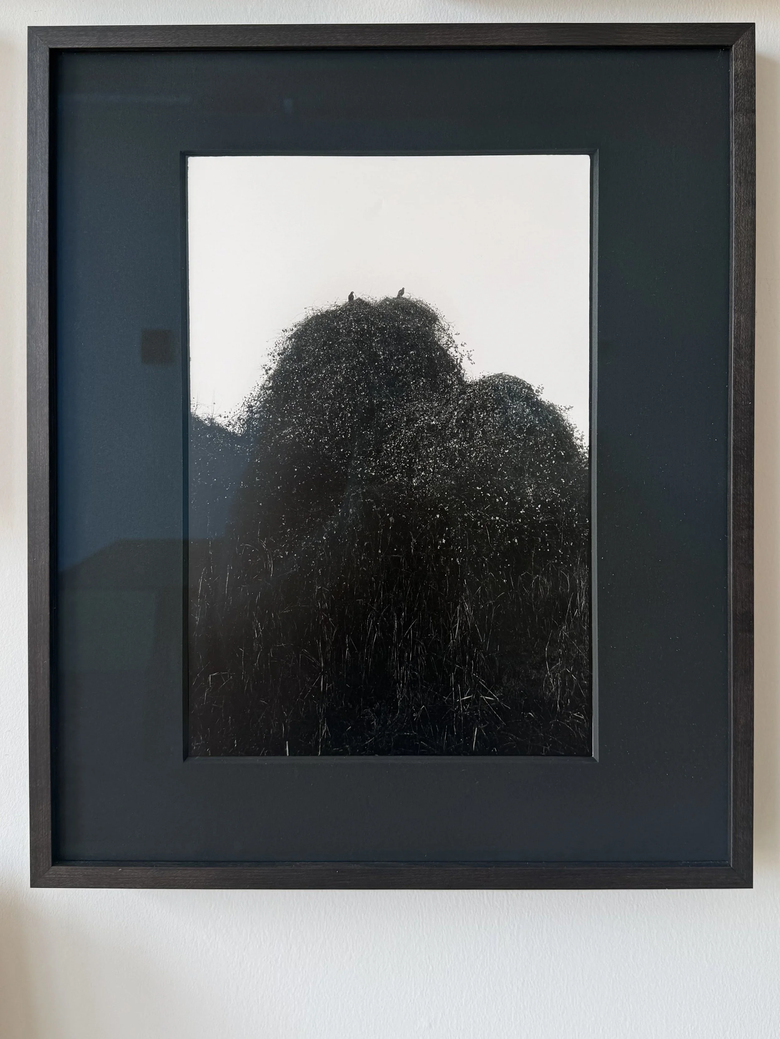 Joseph Karle
Colorado River, 2024
Silver-Gelatin Print
Black Wash L-Cap with Museum Glass
750.00