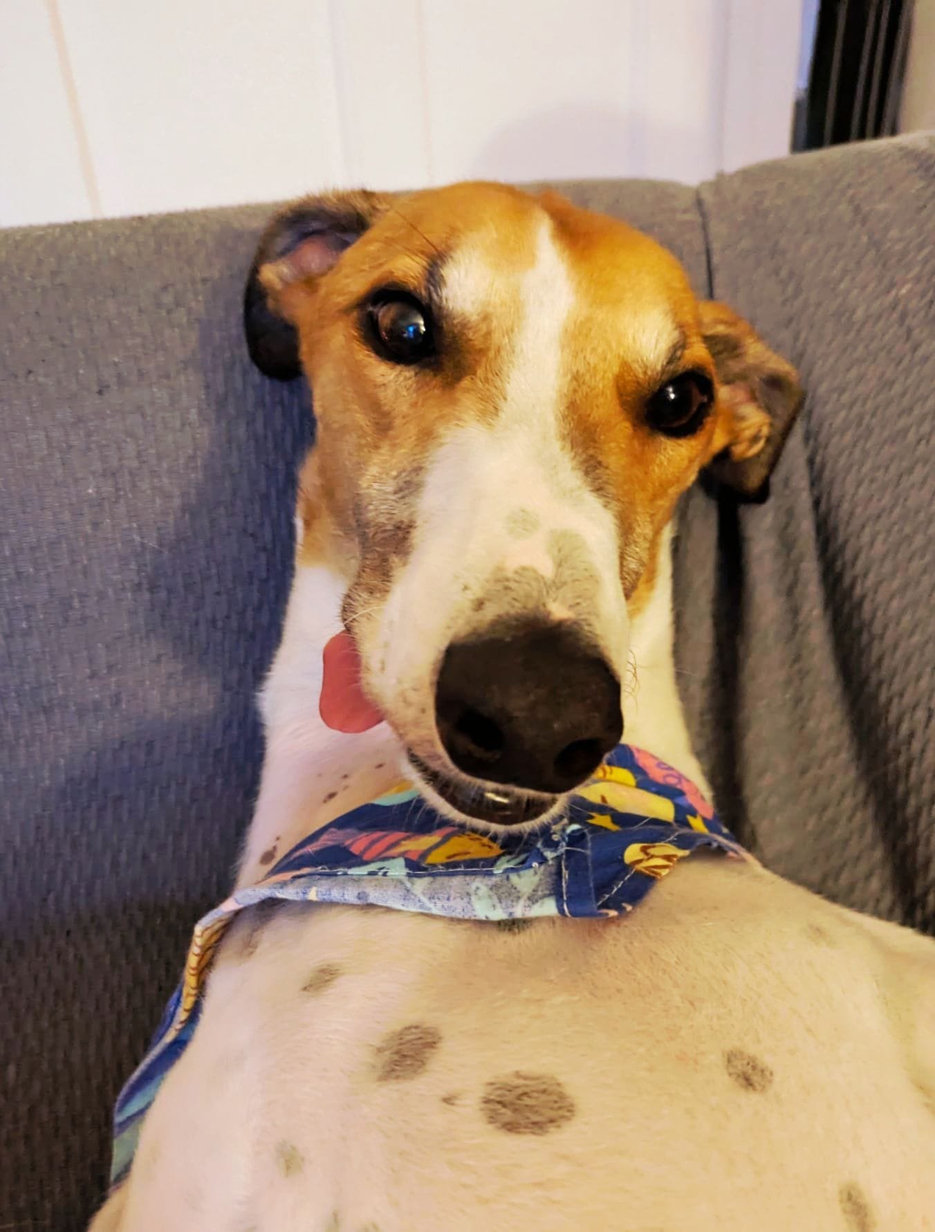 Meet Jeffrey