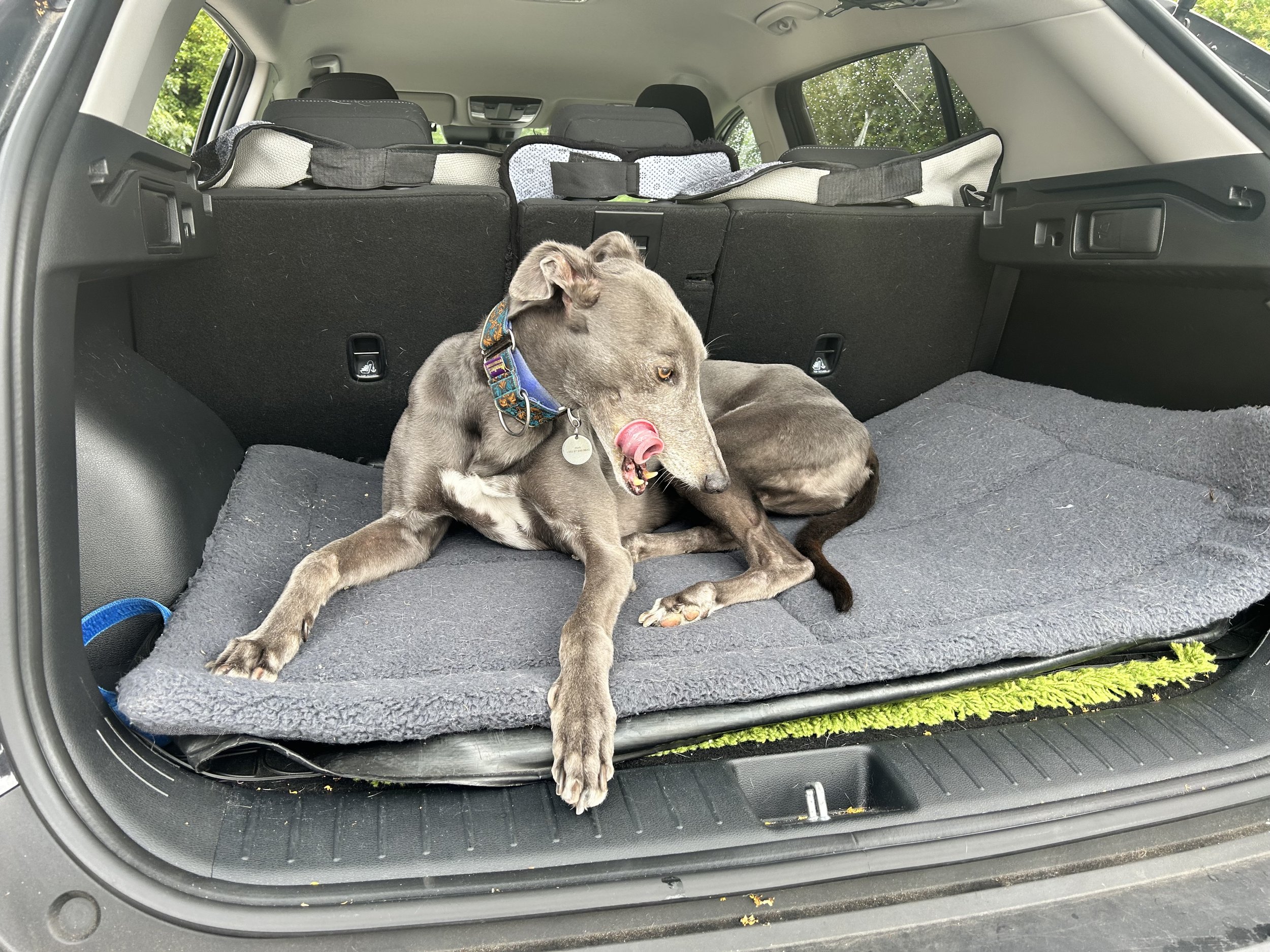 Mac's Happy Ever After
