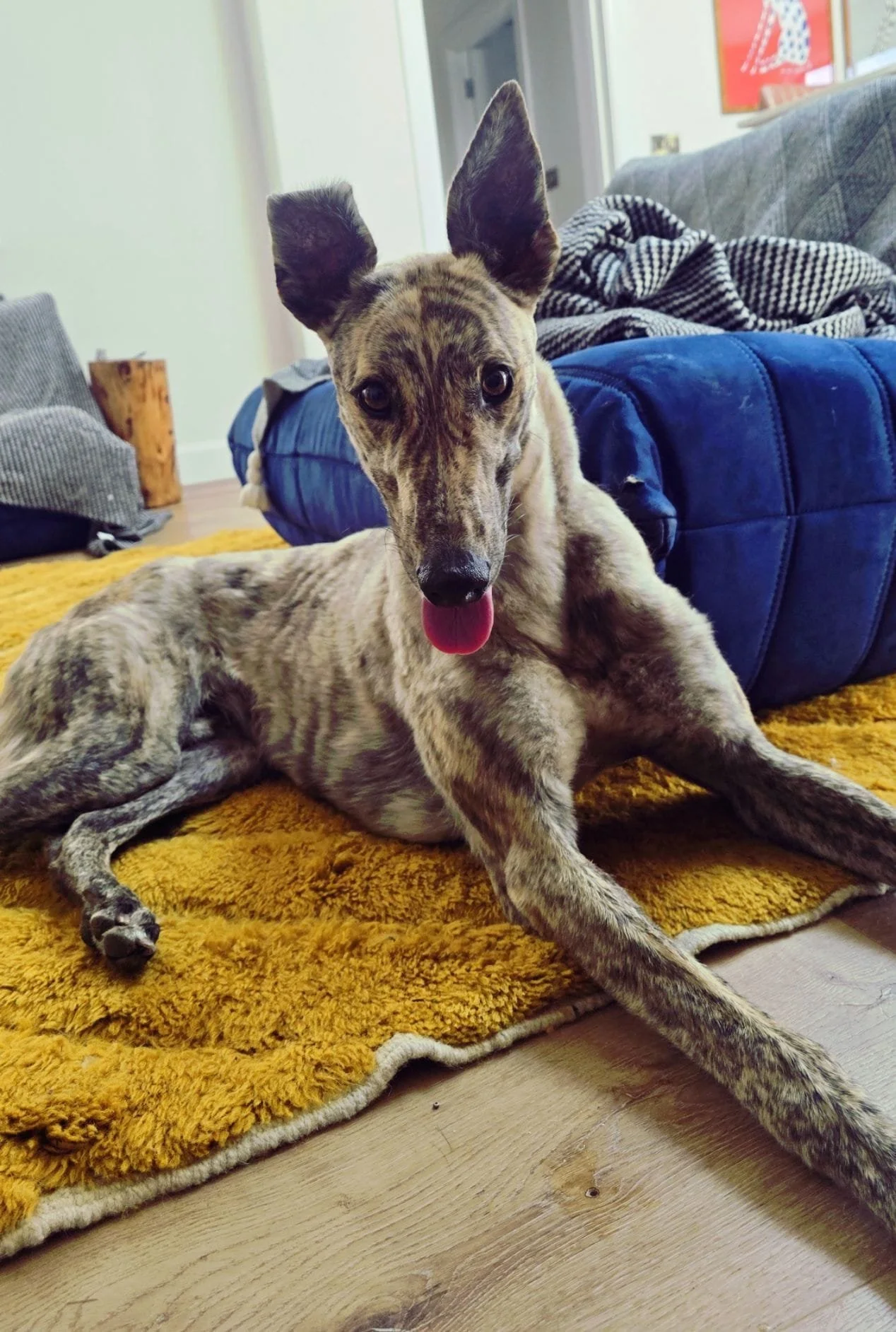 Meet Jake