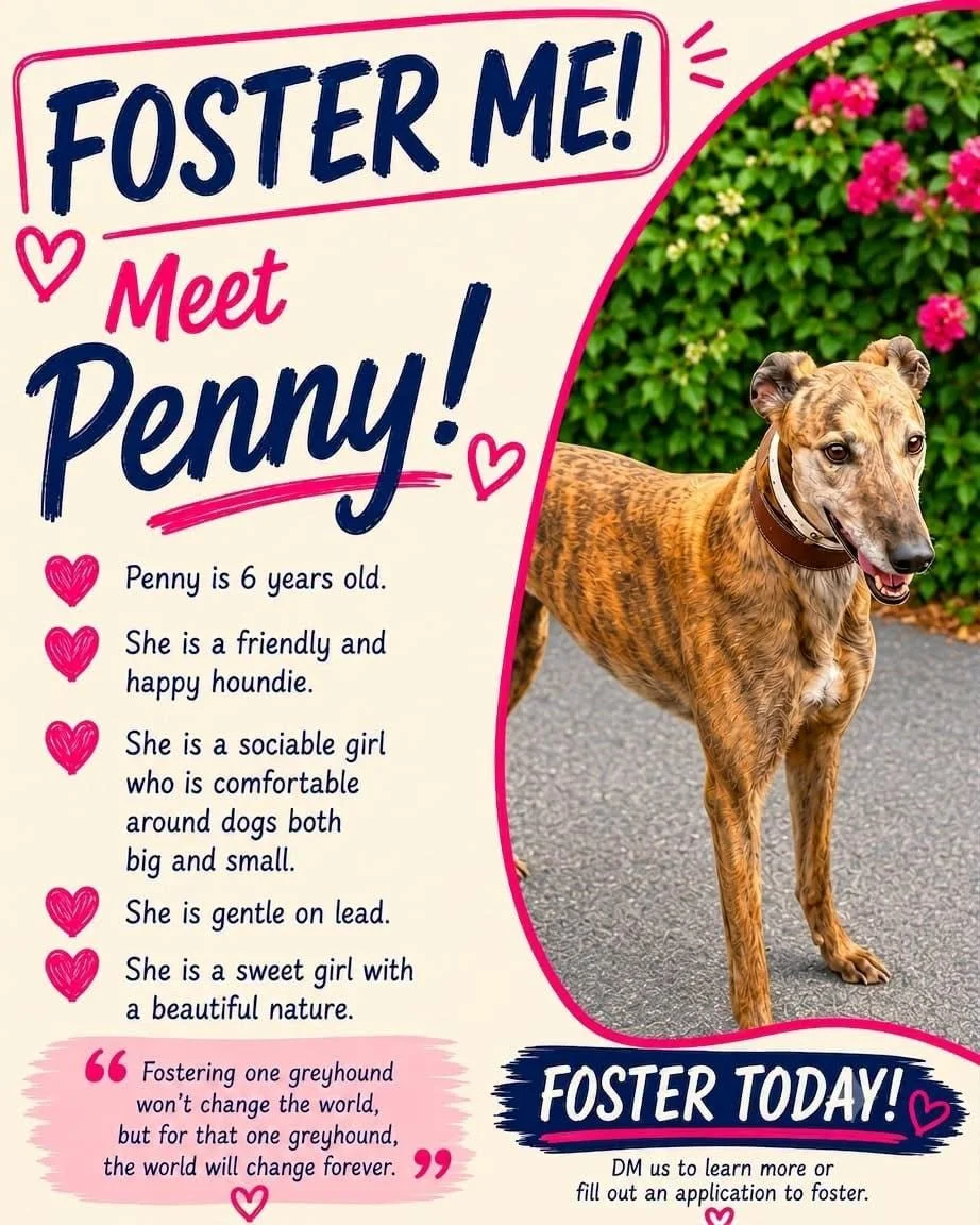 Meet Penny