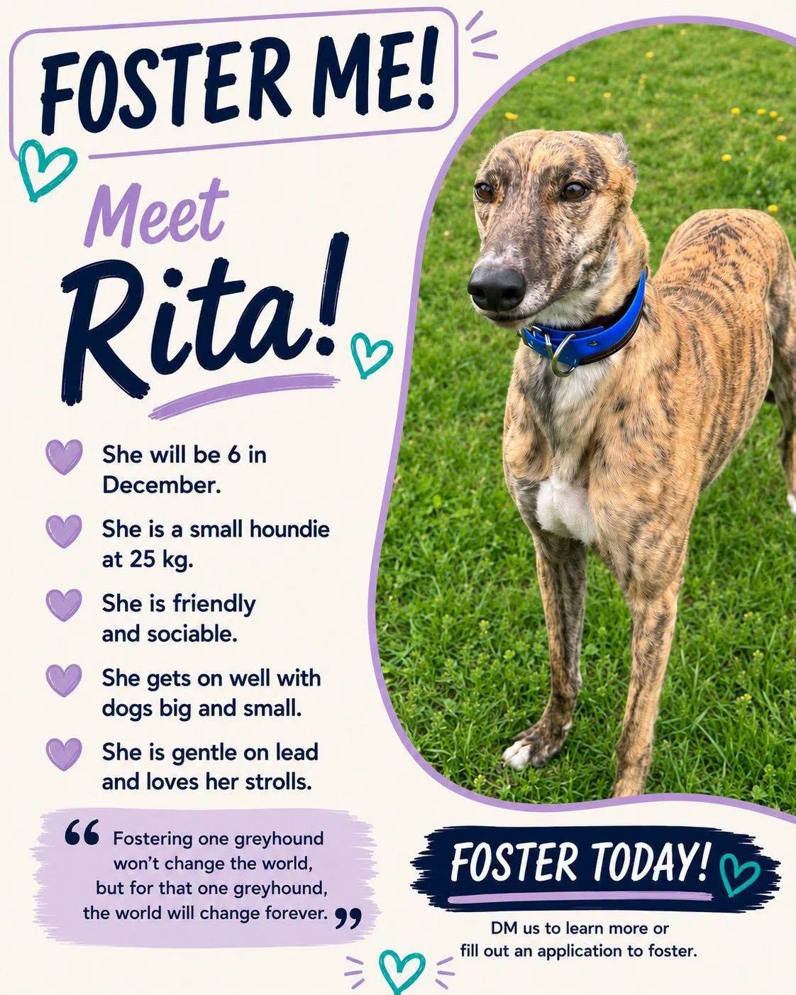 A greyt big hello from Rita
