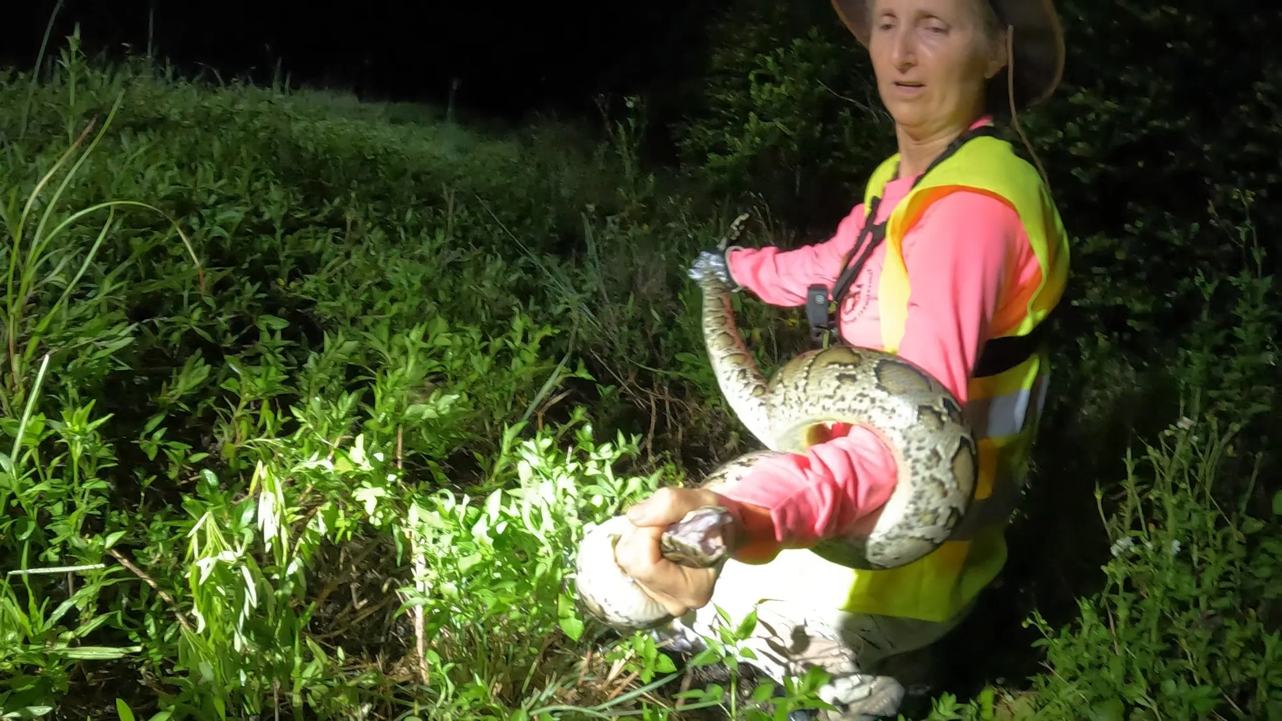 Python Huntress - Still_4.52.1.jpg