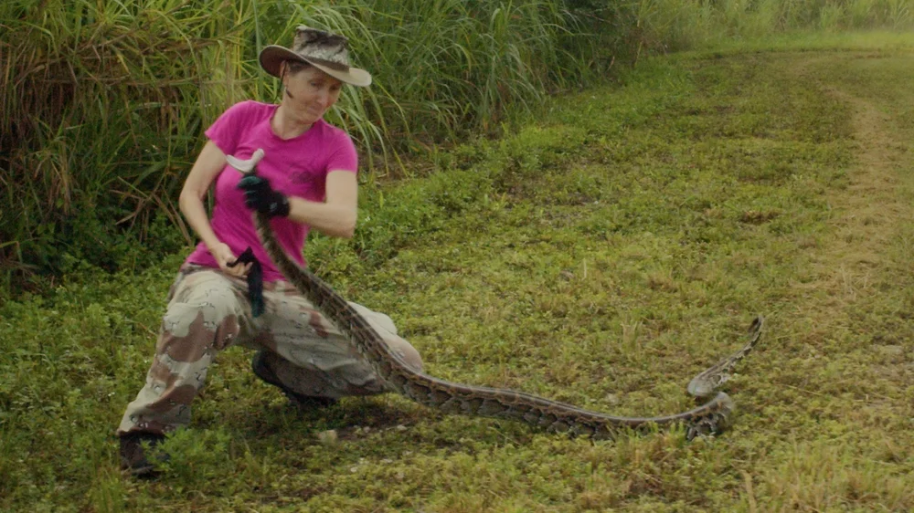 Python Huntress Movie Python Huntress Film