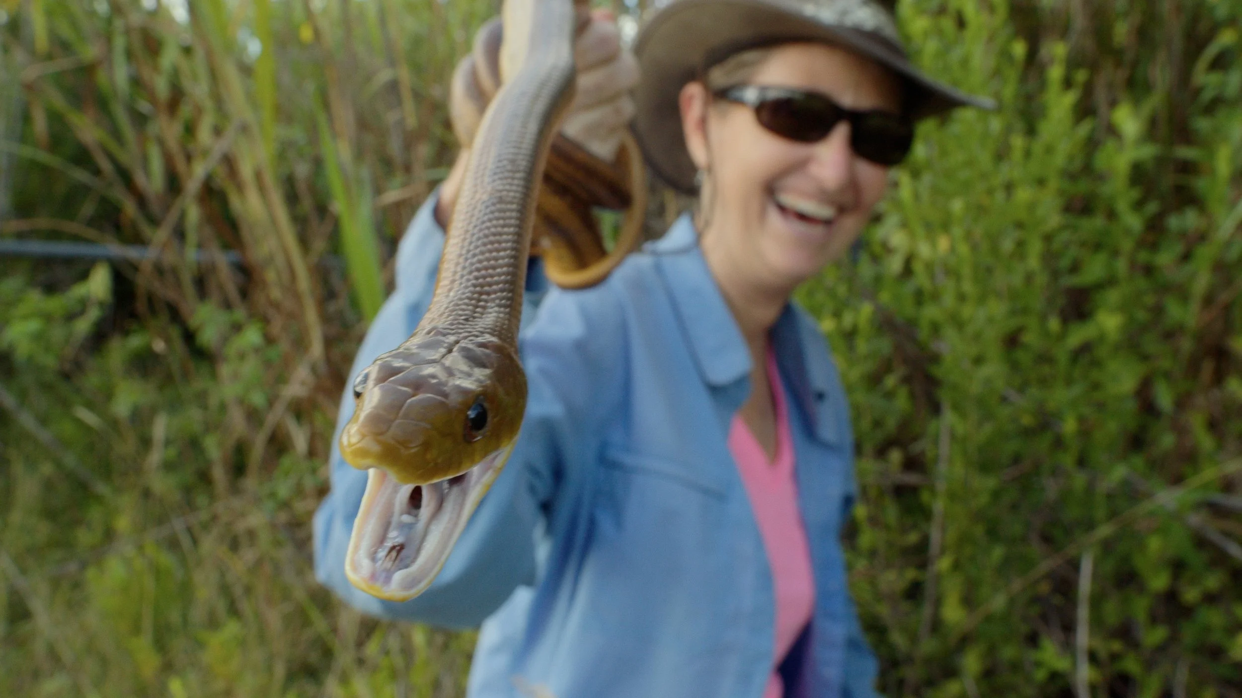 Python Huntress-1.jpg