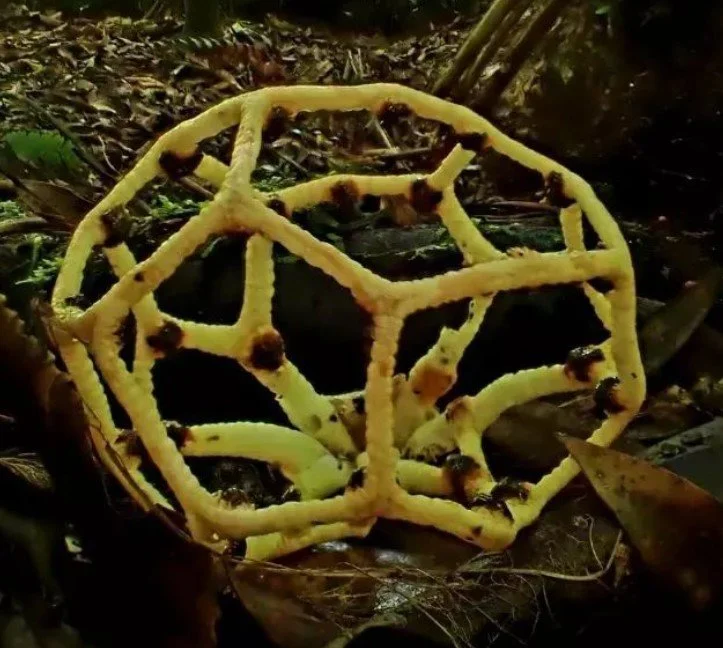 Screenshot 2023-06-04 224859.jpg