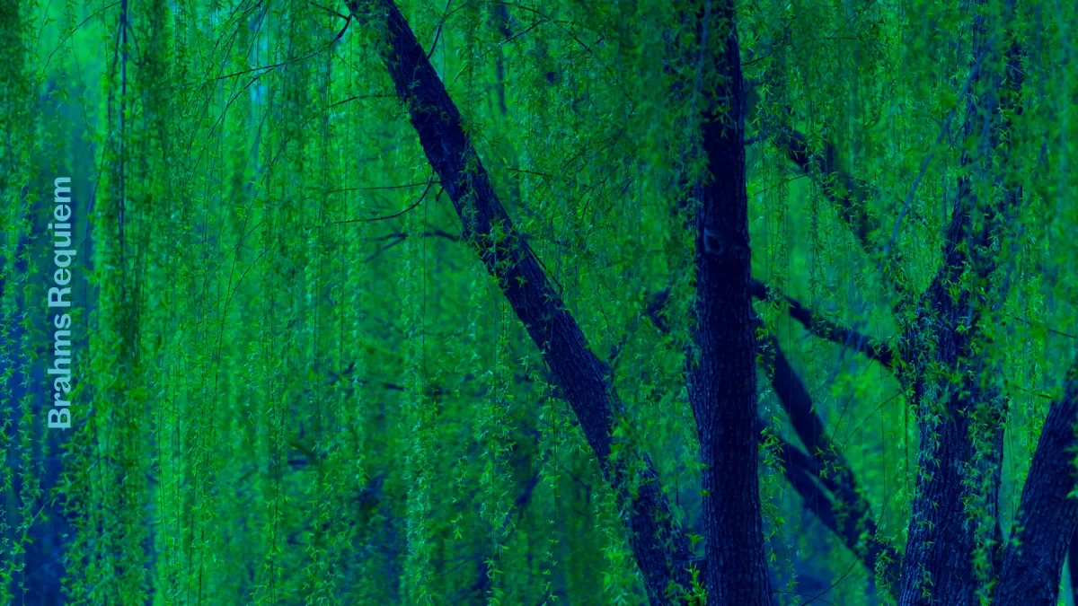 Brahms: Ein Deutsches Requiem
