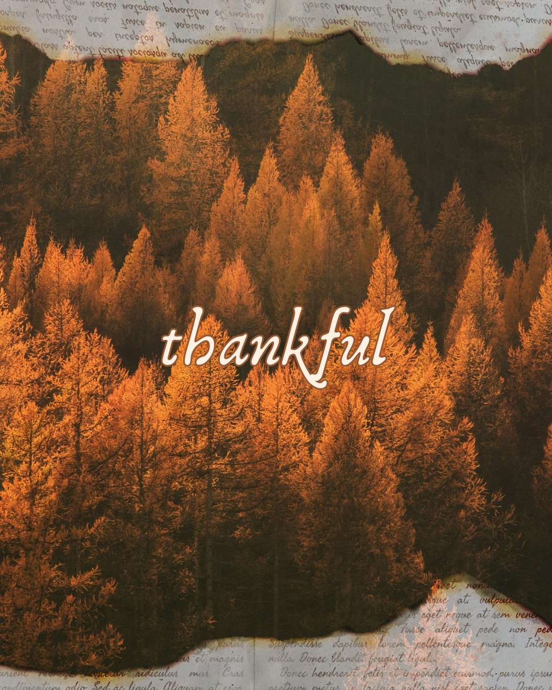 Whatever you're doing today, I hope you have a wonderful day.

With each passing year, &quot;traditional&quot; holidays look and feel different. Thanksgiving and Christmas have not been atypical in my life for several years. The more I educate myself