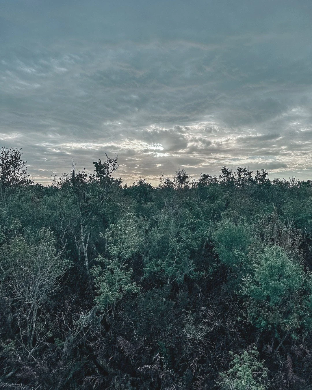 ✨ Personal life news ✨

For the first time in 6 years, I have a job other than writing. I'm finding my new rhythm and learning how to balance working full time with author life again.

It's a positive change. One day, I will earn enough from my books