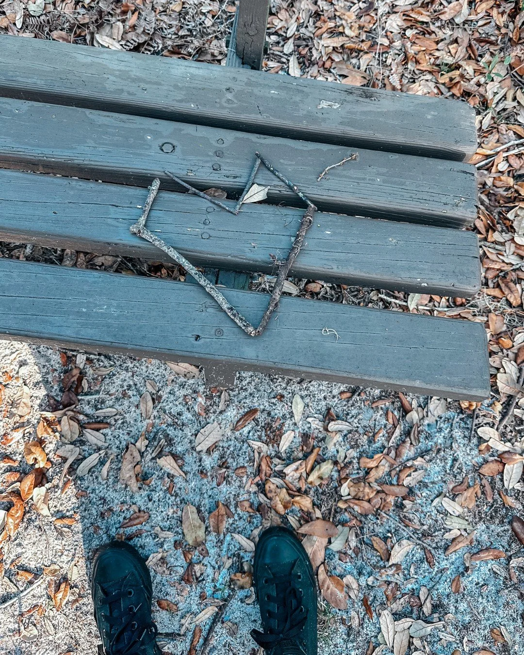 The park/reserve I walk in all the time has an unpaved path in the back. While walking it not long ago, I came across this stick-heart on one of the random benches and smiled.

Life is so heavy for many of us right now. It's important to stop, breath