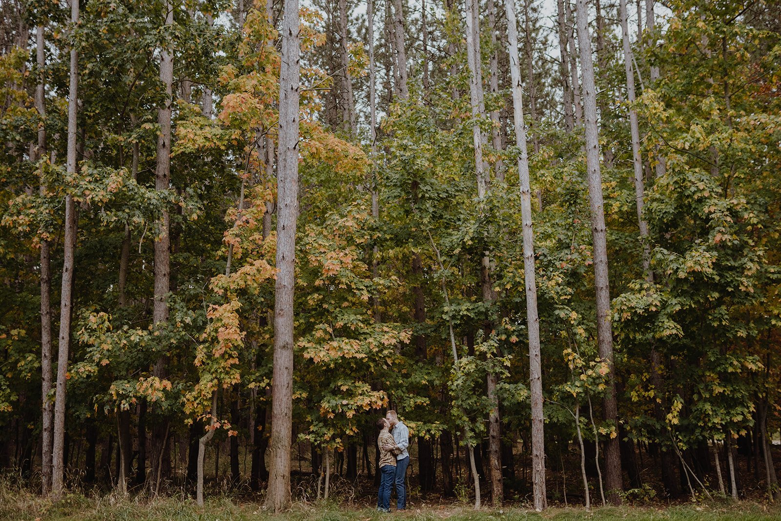 sleeping-bear-engagement-photographer.jpg