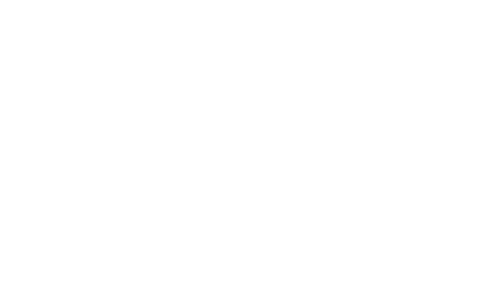 alps option.png
