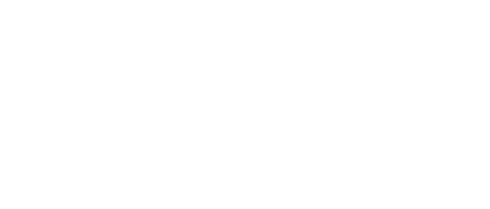 roadrunner.png