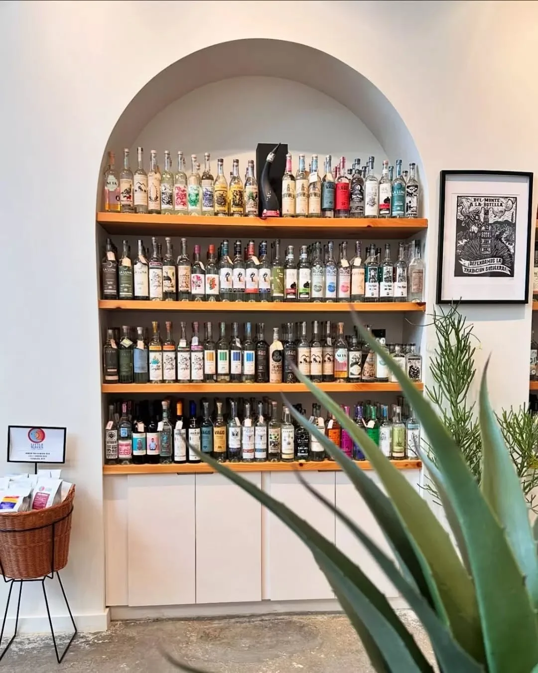 Join @ancestralbottleshop for the very first cocktail class at Westside Paper, hosted by @allthingsmixology and featuring @pedrofurtivotequila 🍸
Manuela will guide you through three delicious tequila-based cocktails &mdash; perfect for mixing and si