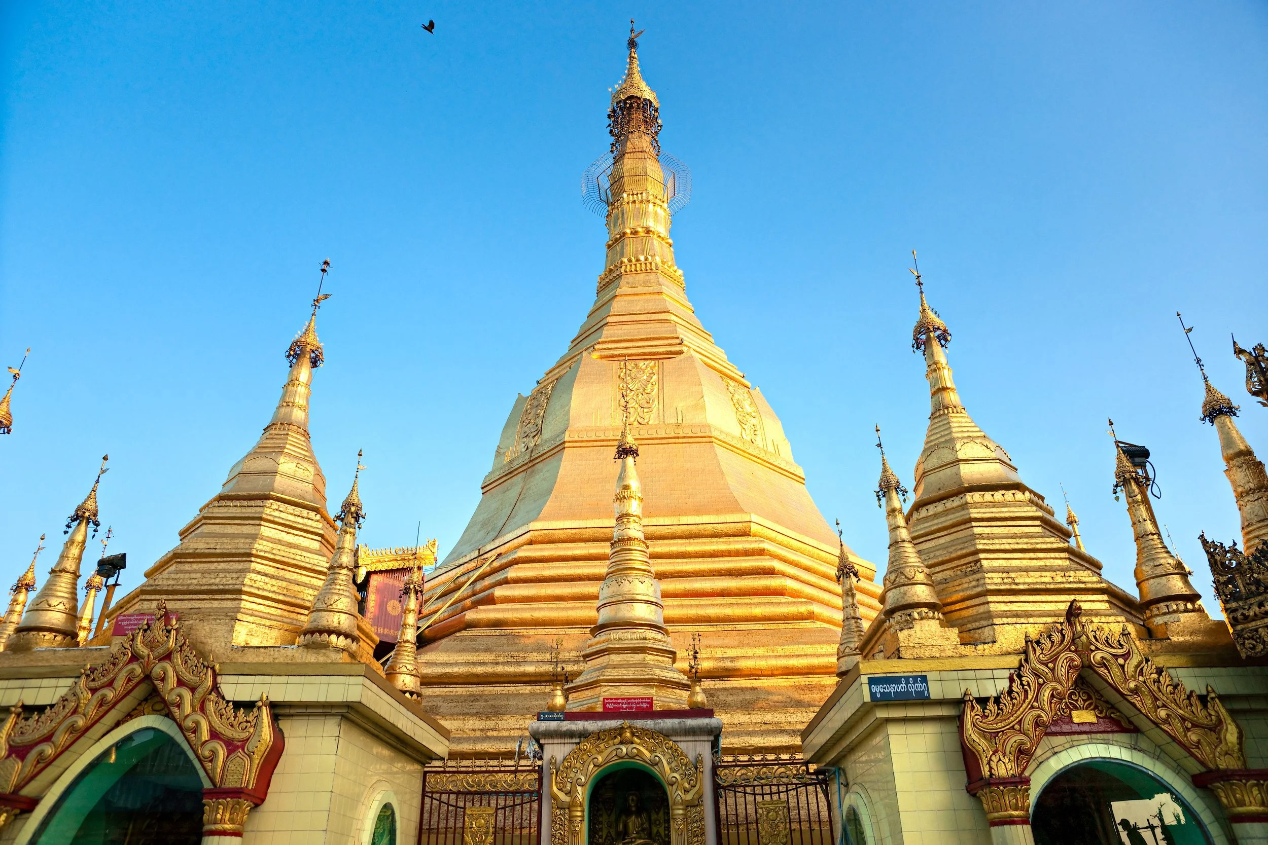 Photo Credit to Arrival Guides