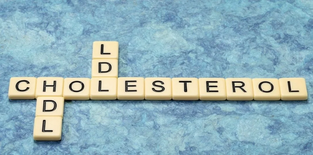 Why Cholesterol Climbs in Midlife for Women — And What It’s Really Trying to Do