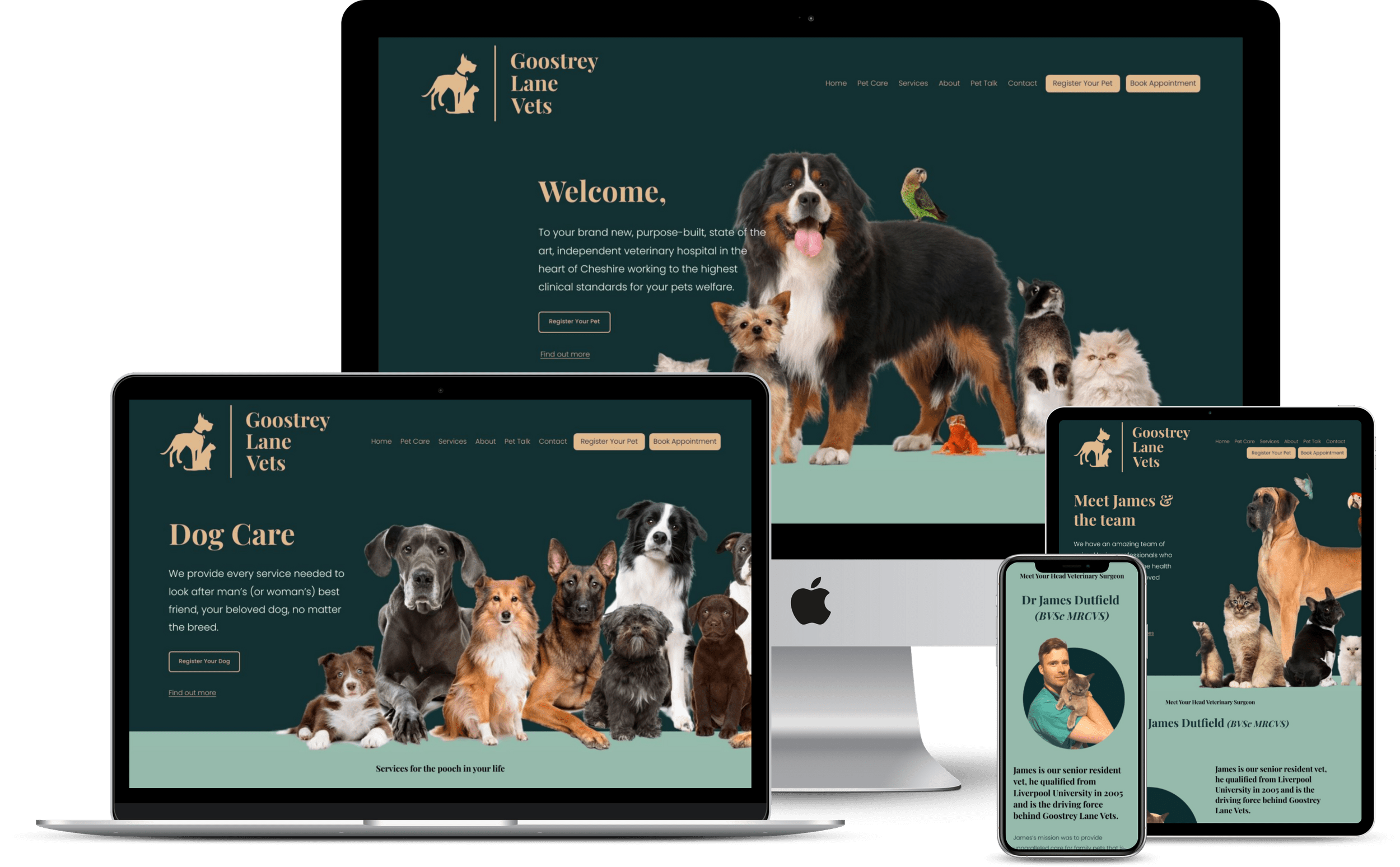 Goostrey Lane Vets Website Development by Lithium Design Cheshire (Copy) (Copy) (Copy)