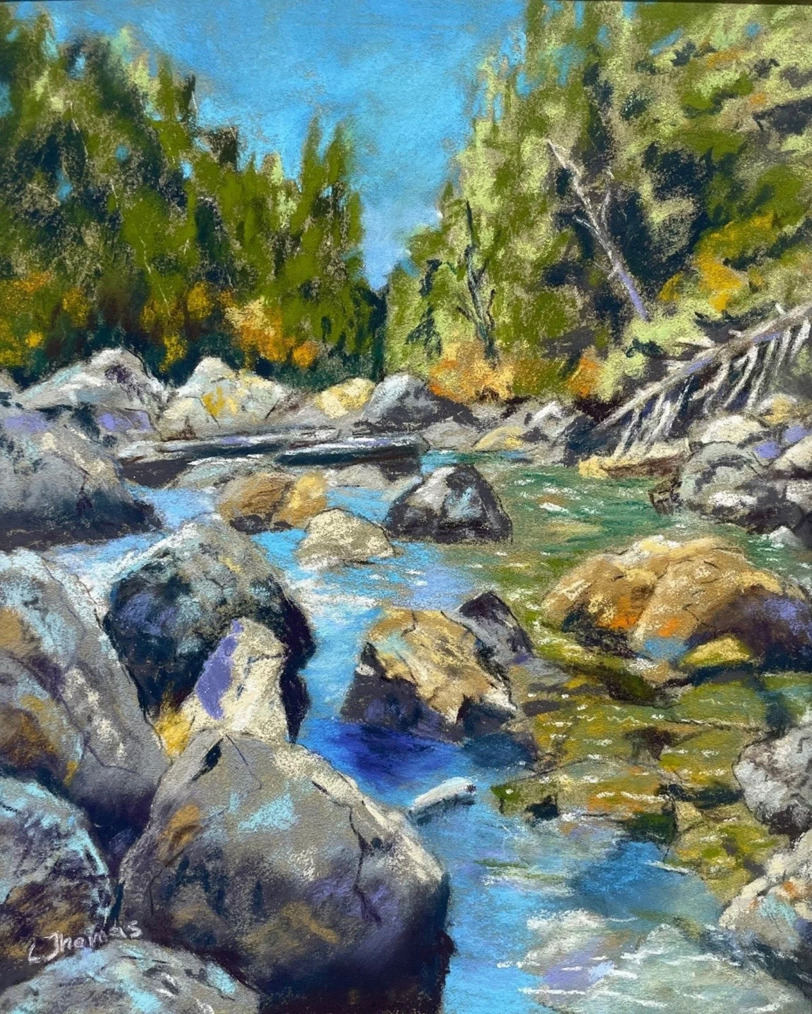 Lyn Thomas website 4.jpg