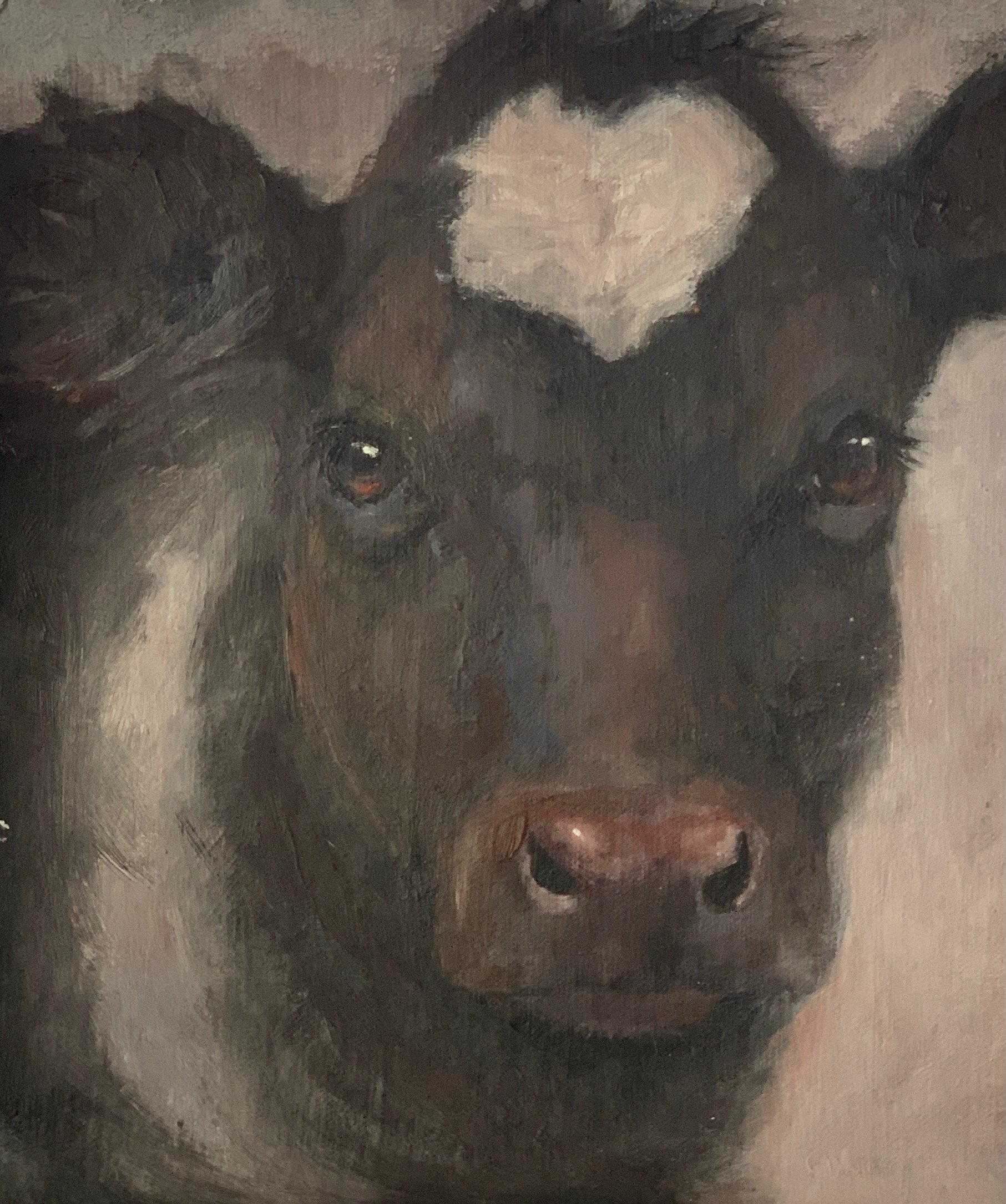 tracyquinseywebsite4 (1).jpeg