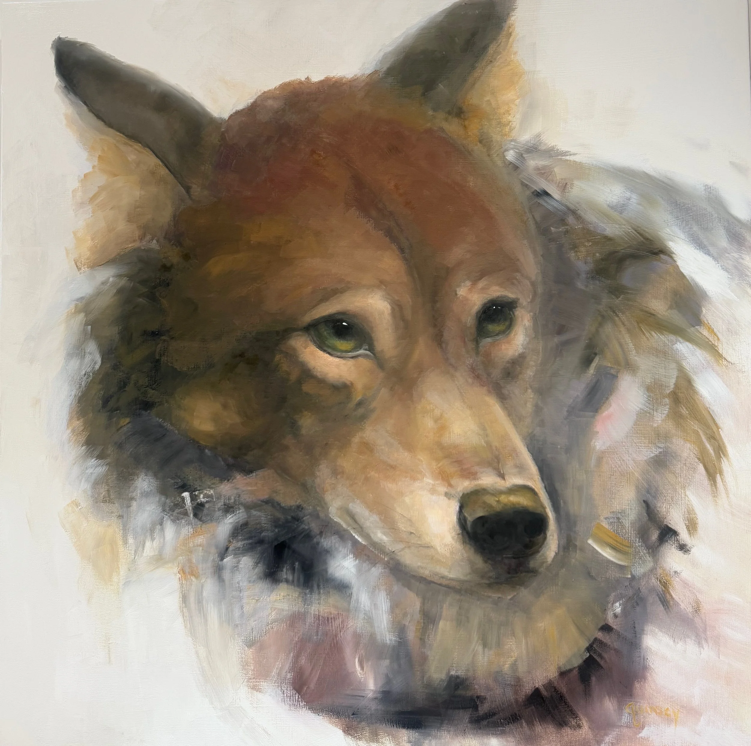 tracyquinseywebsite2 (3).jpeg