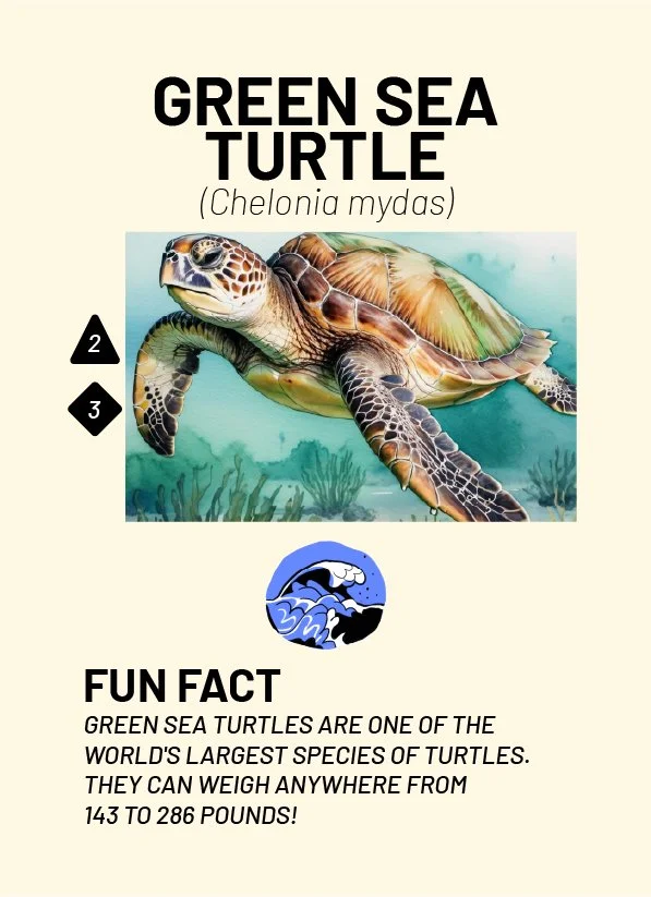 CreatureCards-64.jpg