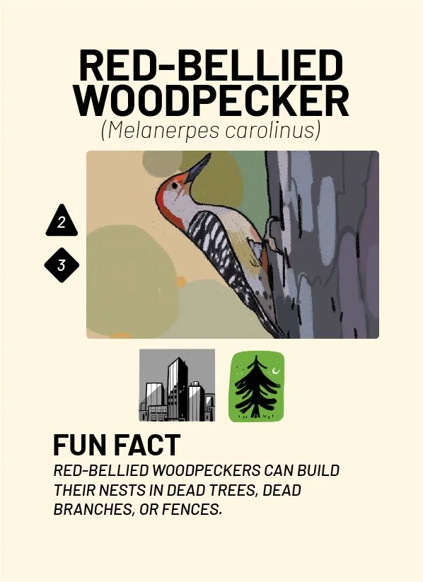 CreatureCards-45.jpg