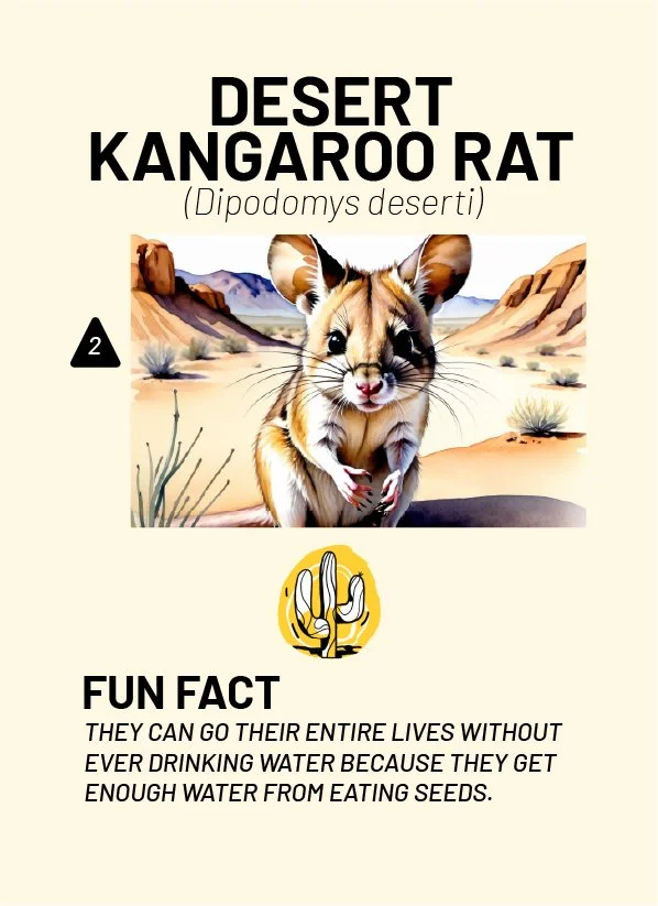 CreatureCards-11.jpg