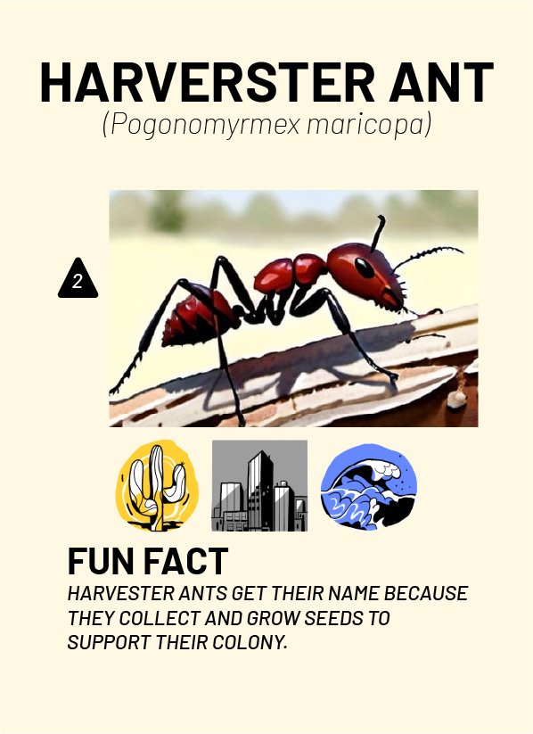 CreatureCards-27.jpg