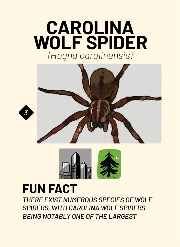 CreatureCards-54.jpg