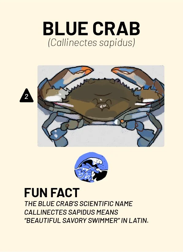 CreatureCards-67.jpg