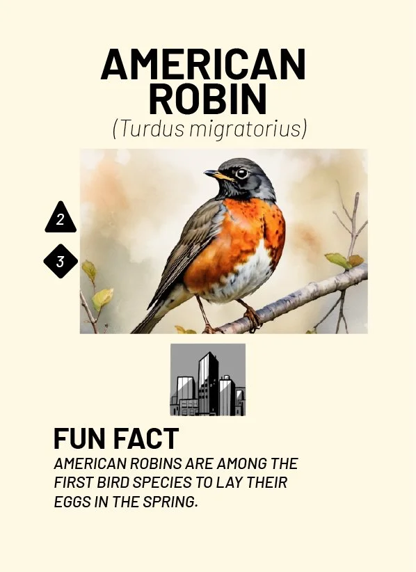 CreatureCards-05.jpg